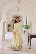 Lehenga Choli Set with Dupatta AND  Heavy Embroidered